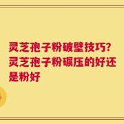 灵芝孢子粉破壁技巧？灵芝孢子粉碾压的好还是粉好