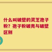 什么叫破壁的灵芝孢子粉？孢子粉破壳与破壁区别