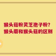猴头菇粉灵芝孢子粉？猴头蘑和猴头菇的区别