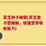 灵芝种子破壁(灵芝孢子壁破解，增强营养吸收能力)