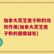 加拿大灵芝孢子粉的功效作用(加拿大灵芝孢子粉的健康益处)