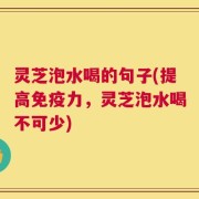 灵芝泡水喝的句子(提高免疫力，灵芝泡水喝不可少)
