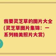 我要灵芝草的图片大全(灵芝草图片集锦：一系列精美照片大赏)
