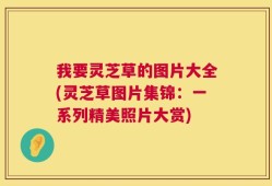 我要灵芝草的图片大全(灵芝草图片集锦：一系列精美照片大赏)