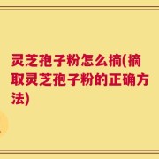 灵芝孢子粉怎么摘(摘取灵芝孢子粉的正确方法)