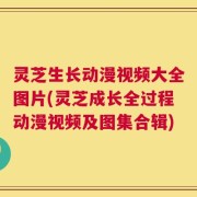 灵芝生长动漫视频大全图片(灵芝成长全过程动漫视频及图集合辑)