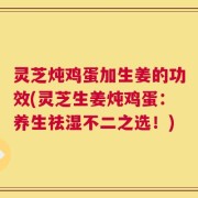 灵芝炖鸡蛋加生姜的功效(灵芝生姜炖鸡蛋：养生祛湿不二之选！)