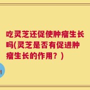 吃灵芝还促使肿瘤生长吗(灵芝是否有促进肿瘤生长的作用？)