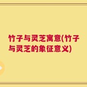 竹子与灵芝寓意(竹子与灵芝的象征意义)