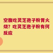 空腹吃灵芝孢子粉胃火烧？吃灵芝孢子粉有何反应