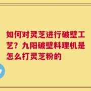 如何对灵芝进行破壁工艺？九阳破壁料理机是怎么打灵芝粉的