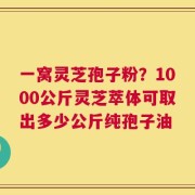 一窝灵芝孢子粉？1000公斤灵芝萃体可取出多少公斤纯孢子油