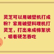 灵芝可以用破壁机打成粉？家用破壁料理机打灵芝，打出来成棉絮状，嚼着硬怎吞吃