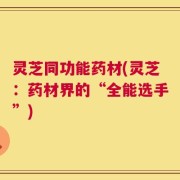 灵芝同功能药材(灵芝：药材界的“全能选手”)