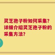 灵芝孢子粉如何采集？详细介绍灵芝孢子粉的采集方法？