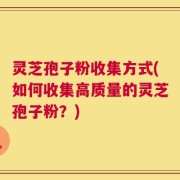 灵芝孢子粉收集方式(如何收集高质量的灵芝孢子粉？)