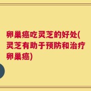 卵巢癌吃灵芝的好处(灵芝有助于预防和治疗卵巢癌)