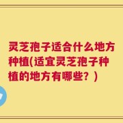 灵芝孢子适合什么地方种植(适宜灵芝孢子种植的地方有哪些？)