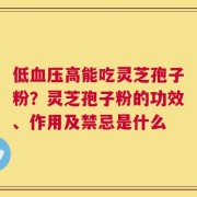 低血压高能吃灵芝孢子粉？灵芝孢子粉的功效、作用及禁忌是什么