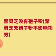 紫灵芝没有孢子粉(紫灵芝无孢子粉不影响功效)