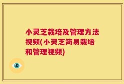 小灵芝栽培及管理方法视频(小灵芝简易栽培和管理视频)