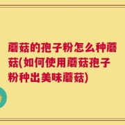 蘑菇的孢子粉怎么种蘑菇(如何使用蘑菇孢子粉种出美味蘑菇)