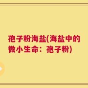 孢子粉海盐(海盐中的微小生命：孢子粉)
