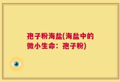 孢子粉海盐(海盐中的微小生命：孢子粉)