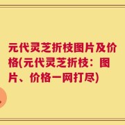 元代灵芝折枝图片及价格(元代灵芝折枝：图片、价格一网打尽)