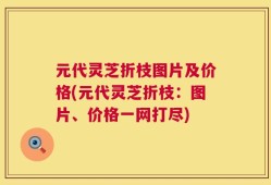 元代灵芝折枝图片及价格(元代灵芝折枝：图片、价格一网打尽)