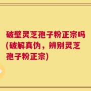 破壁灵芝孢子粉正宗吗(破解真伪，辨别灵芝孢子粉正宗)