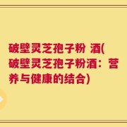 破壁灵芝孢子粉 酒(破壁灵芝孢子粉酒：营养与健康的结合)