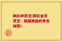 网红种灵芝(网红金花灵芝：超越颜值的养生秘密)