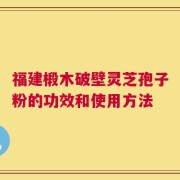 福建椴木破壁灵芝孢子粉的功效和使用方法