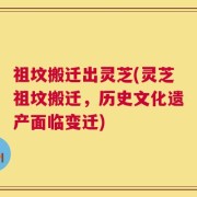 祖坟搬迁出灵芝(灵芝祖坟搬迁，历史文化遗产面临变迁)