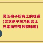 灵芝孢子粉有土的味道(灵芝孢子粉乃因含土元素而带有独特味道)