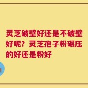 灵芝破壁好还是不破壁好呢？灵芝孢子粉碾压的好还是粉好