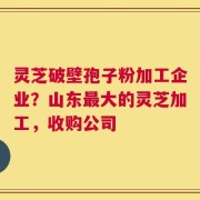 灵芝破壁孢子粉加工企业？山东最大的灵芝加工，收购公司