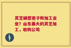 灵芝破壁孢子粉加工企业？山东最大的灵芝加工，收购公司