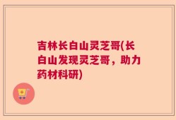 吉林长白山灵芝哥(长白山发现灵芝哥，助力药材科研)
