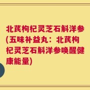北芪枸杞灵芝石斛洋参(五味补益丸：北芪枸杞灵芝石斛洋参唤醒健康能量)