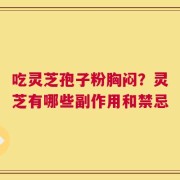 吃灵芝孢子粉胸闷？灵芝有哪些副作用和禁忌