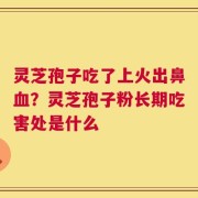 灵芝孢子吃了上火出鼻血？灵芝孢子粉长期吃害处是什么