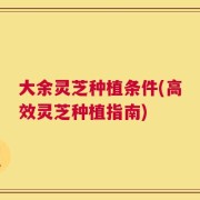 大余灵芝种植条件(高效灵芝种植指南)