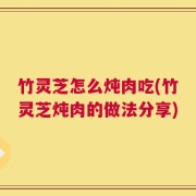 竹灵芝怎么炖肉吃(竹灵芝炖肉的做法分享)