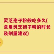 灵芝孢子粉般吃多久(食用灵芝孢子粉的时长及剂量建议)