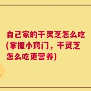 自己家的干灵芝怎么吃(掌握小窍门，干灵芝怎么吃更营养)