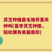 灵芝种植眉毛推荐夏天种吗(夏季灵芝种植，轻松拥有美丽眉形)