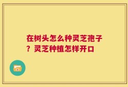 在树头怎么种灵芝孢子？灵芝种植怎样开口