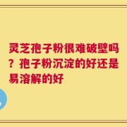 灵芝孢子粉很难破壁吗？孢子粉沉淀的好还是易溶解的好